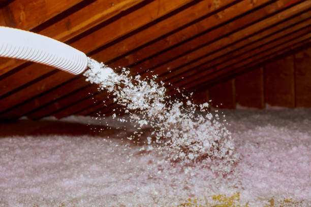 Best Specialized Insulation Services in Seeley, CA
