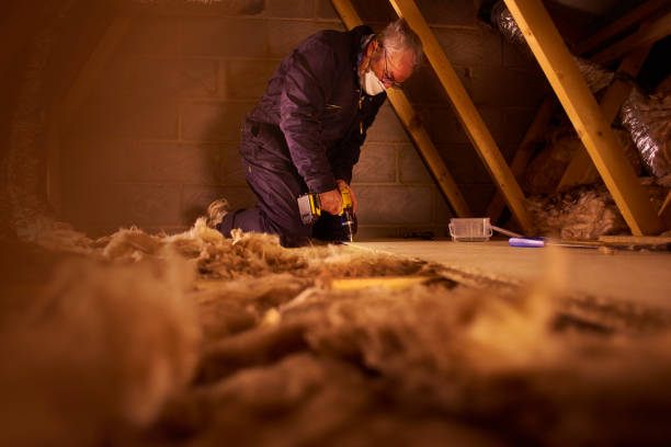 Best Cellulose Insulation in Seeley, CA